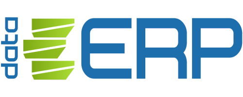 logo dataerp (1)